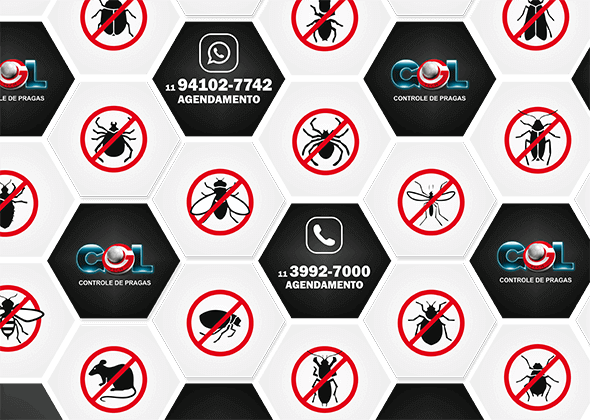 Desentupidora Goltech